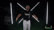 Tulane Rollwave GIF by GreenWave