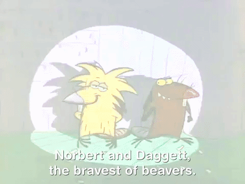nickrewind giphydvr nicksplat angry beavers giphyab002 GIF