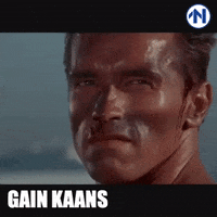 groningen grunn GIF by RTV Noord