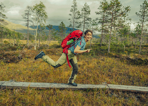 GIF by Gregory Packs