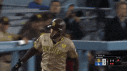 Major League Baseball Sport GIF by MLB