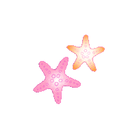 Summer Star Sticker by LOAVIES