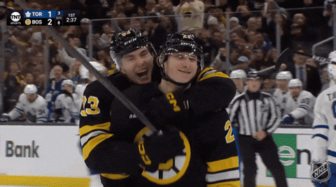 Happy Boston Bruins GIF by NHL