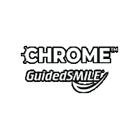 CHROMEGuidedSMILE  Sticker