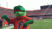 albert gator dancing GIF by Florida Gators