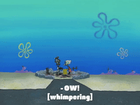 season 8 episode 24 GIF by SpongeBob SquarePants