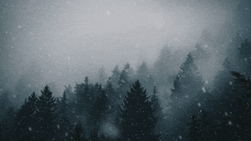 Snow Winter GIF