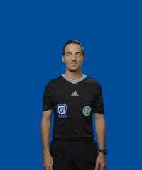 dasoertliche soccer bundesliga fussball nein GIF