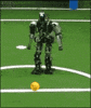 robots wo GIF