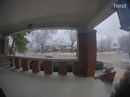 Ice Snaps Tree Limbs in Memphis as Massive Winter Storm Hits Tennessee