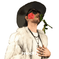 Me Gusta In Love Sticker by Mi Carta Diseño Humano