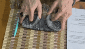 Linda Rey And Trevor GIF by EIDL Experts & Biz Glitch 366