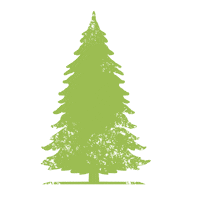 Tree Hiking Sticker by Bad Harzburg Tourismus