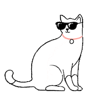 Cool Cat Sticker by ManyPets UK