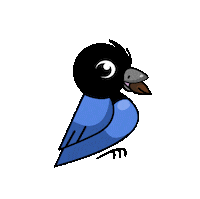 Gralha Pinhao Sticker by TRE-PR