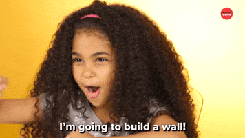 I'm Going To Build A Wall!