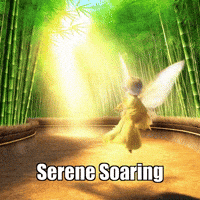 Joy Freedom GIF by BuddhaFlyJourney