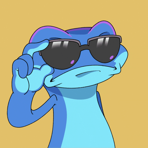 Sunglasses What GIF by Snek