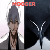 Mogger GIF