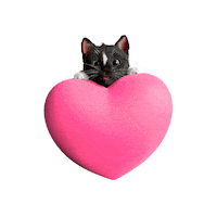 Loving It Love Sticker by Felini Rocks