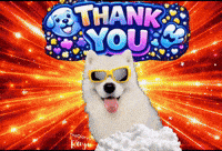 Thanks Thank You GIF