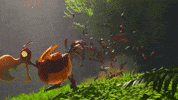 Run Exploring GIF by Gameforge