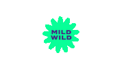 flavournetwork hot wild spicy mild Sticker