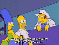 homer simpson episode 20 GIF