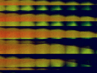 Video Art GIF by cskonopka