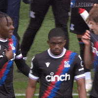 Premier League Talk GIF by Crystal Palace Football Club