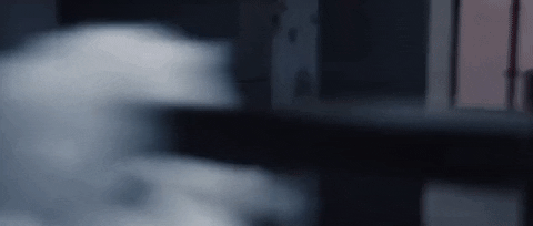 bad blood GIF by Taylor Swift