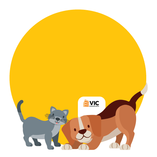 vicengenharia giphyupload vicengenharia vic engenharia Sticker