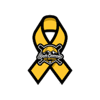 RanchoACESoftball softball yellowribbon ranchoace Sticker