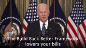 Joe Biden Politics GIF by The Democrats