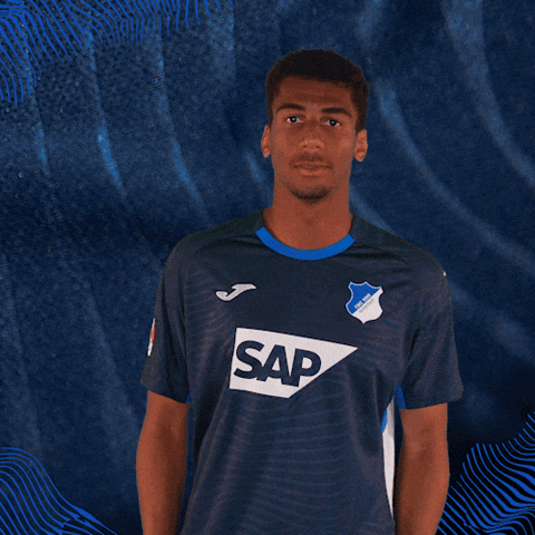 Sport Bundesliga GIF by TSG Hoffenheim