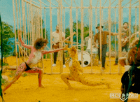 Happy Efecto Pasillo GIF by EP