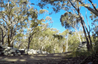 bachie GIF by The Bachelor Australia