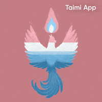 Trans Rights GIF by Taimi