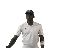 South Africa Cricket Sticker by Red Bull