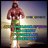 Happy Macho Man GIF by STARCUTOUTSUK