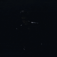 Sexy Beauty GIF