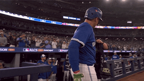 Home Run Baseball GIF by Toronto Blue Jays