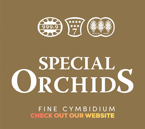 specialorchids giphyupload logo special orchids GIF