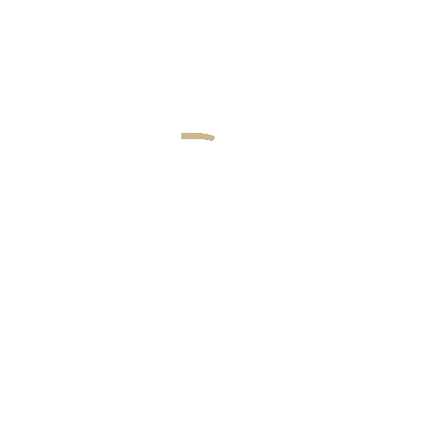 Circling Black And Gold Sticker by Purdue University