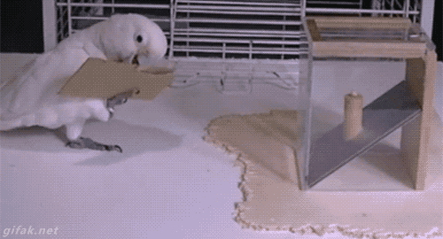 GIF by Demic