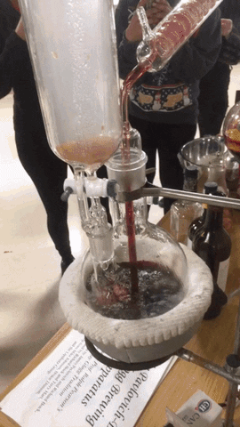 giffunme giphyupload GIF