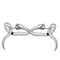 hair style Sticker by Bullfrog