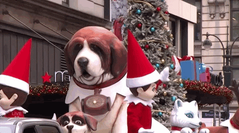 Macys Parade GIF by The 95th Macy’s Thanksgiving Day Parade