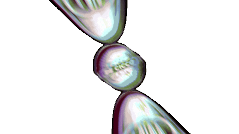 Phone Wow Sticker by De Cicco Store