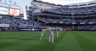 Sport Baseball GIF by MLB